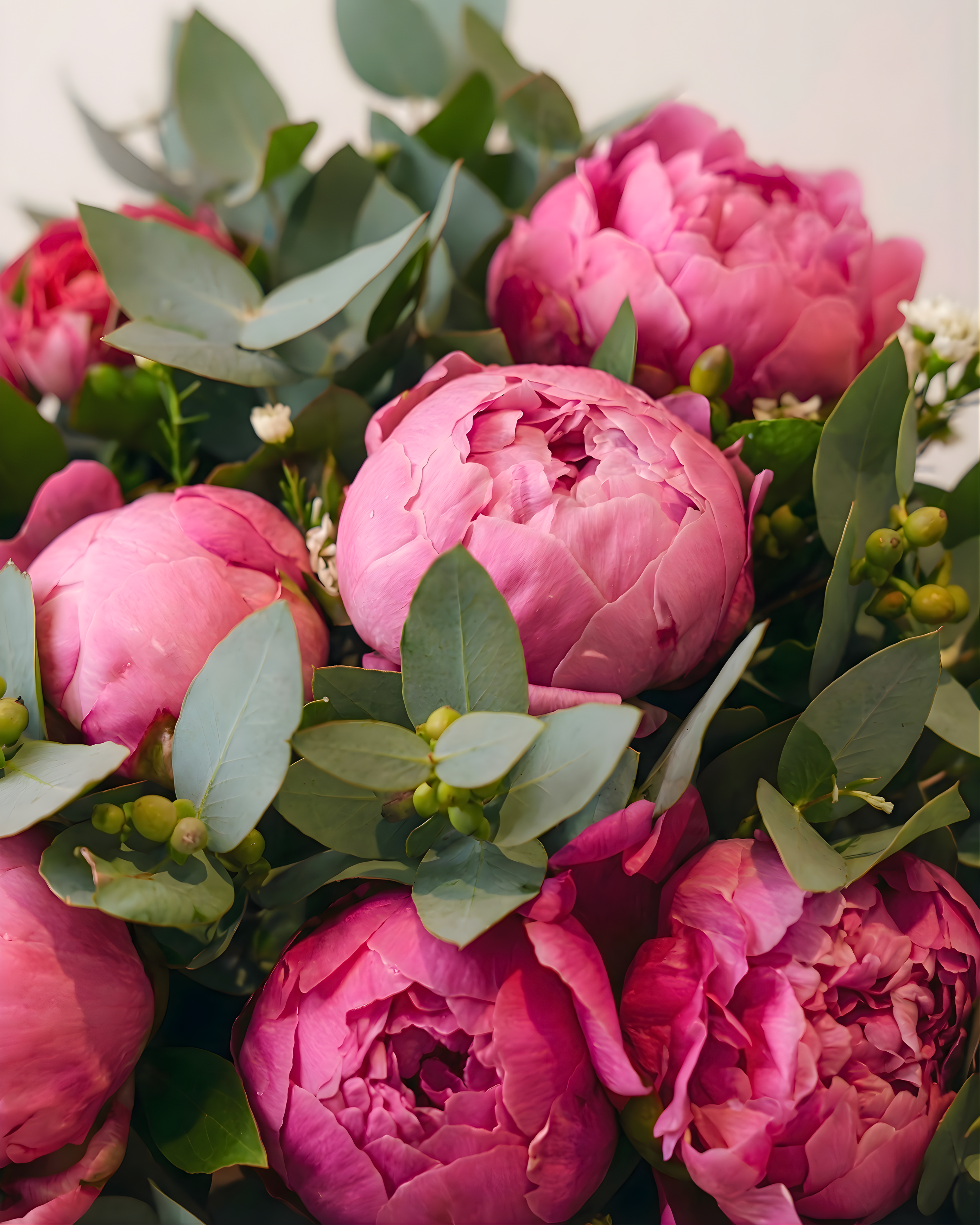 Modern minimalist arrangement with succulents